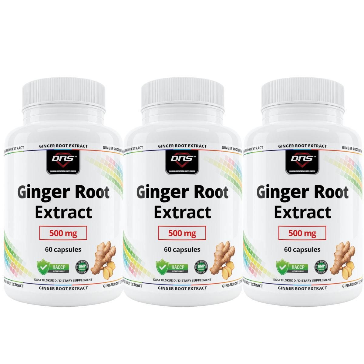 3-pack Ginger Root Extract - Ingefær - 3 x 60 kapsler